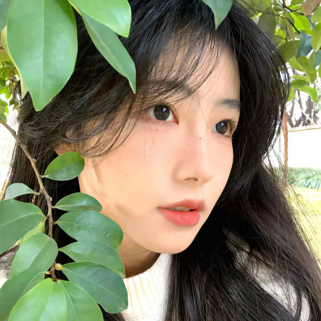 同谋